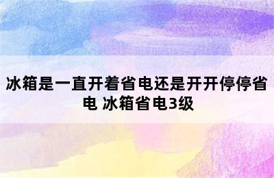 冰箱是一直开着省电还是开开停停省电 冰箱省电3级